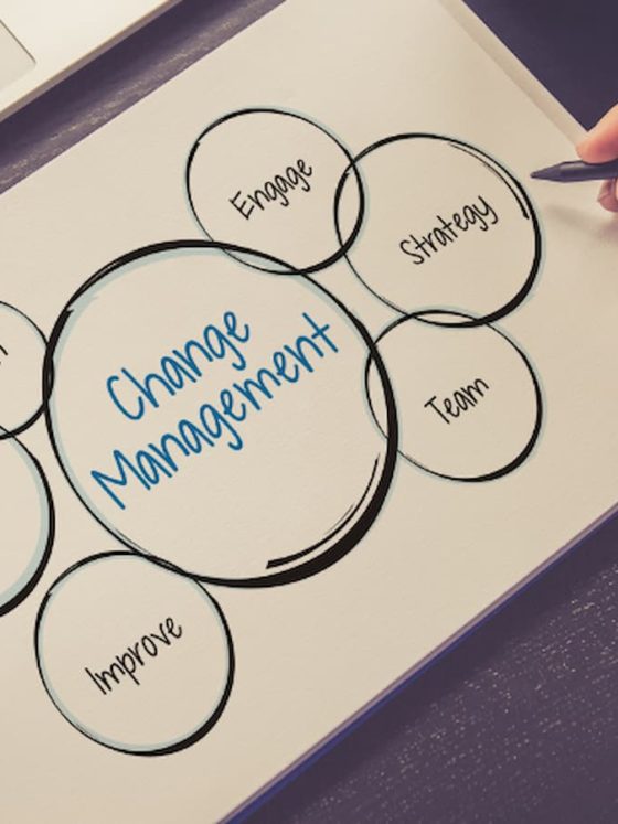 change management erp